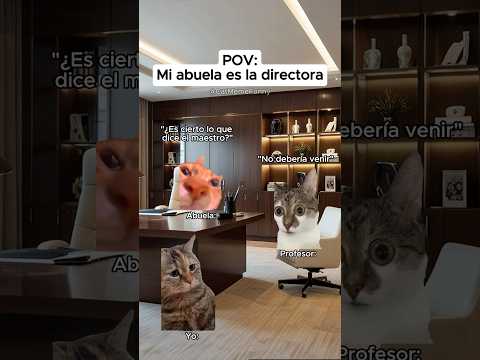 CAT MEME FUNNY 😹 Mi abuela es la directora #relatable #relationship #catmemes