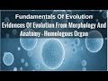 Adaptive Radiation and Evolution Concepts