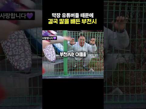 막장 유튜버에 칼을 빼든 부천시