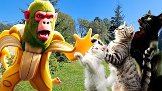 Серьёзно?! Банда CHIMPANZINI BANANINI  ЗАХВАТИЛА наш ДОМ в Реальной Жизни!
