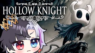 I am only slightly incredibly lost [Hollow Knight]
