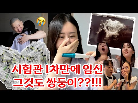 시험관 1차 만에 임신 성공?! 그것도 쌍둥이??!!! 임밍아웃, 성별공개 (울컥주의🥹)