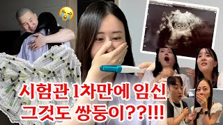 시험관 1차 만에 임신 성공?! 그것도 쌍둥이??!!! 임밍아웃, 성별공개 (울컥주의🥹)