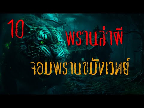 พรานล่าผี ตอนที่ 10 จอมพรานขมังเวทย์ l วิริโย มีเรื่องเล่า