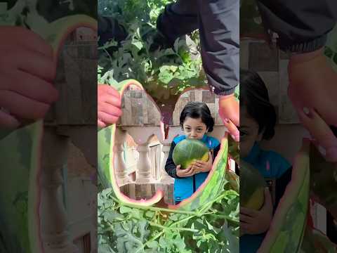 مشوب بدي بطيخة🍉🍉🤣