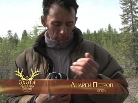 Охота на медведя 2 ч. Выпуск 112. Эфир от 3. 07. 12.