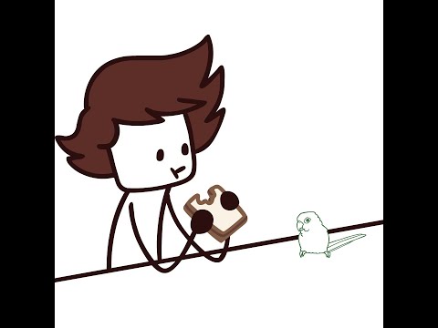 Bird Burglar