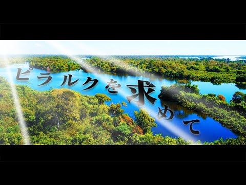 【#30】謎の老人【南米旅行釣行ブラジル編】〜ピラルクの湖〜