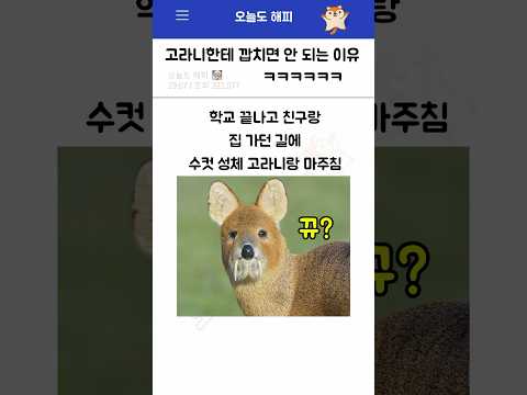 고라니한테 깝치면 안 되는 이유ㅋㅋㅋㅋ