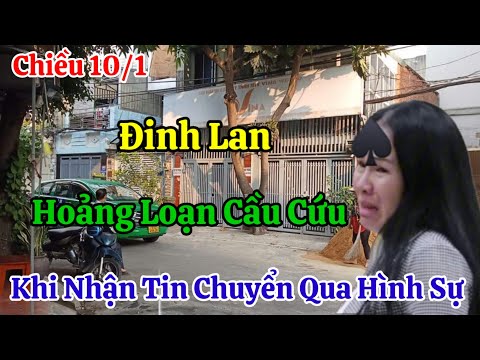 Chiều 10/1 Đinh Lan Hoảng Loạn Cầu Cứu Khi Nhận Tin Chuyển Qua Hình Sự