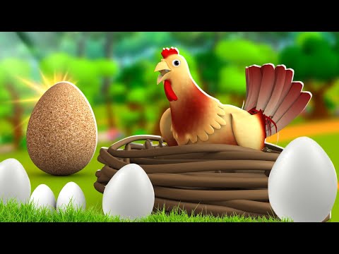 মুরগির মাটির ডিম - Hen's Clay Egg Golpo | 3D Animated Bangla Moral Stories | JOJO TV Fairy Tales