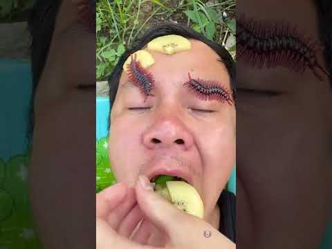 Kiwi, blueberries, appetizers and delicious pastries. #sweets #food