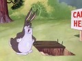Understanding the Transcript