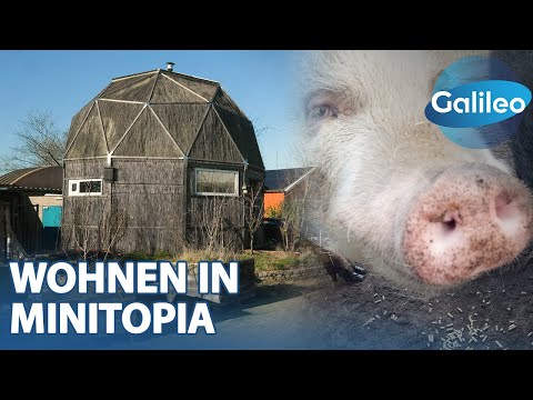 Holzjurte, Gewächshaus oder Zebra-Container: Wohnen in Minitopia