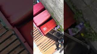 Destroying 2 tablets and 2 phones
