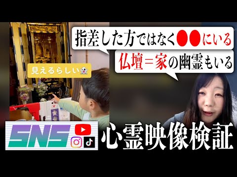 霊が視える人と一緒に子供が仏壇を指差して「覗いてる」と言う映像を見たら、幽霊の生態系についてまた一つ興味深いことが分かった【SNS心霊映像検証】