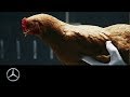 Understanding the Video Tutorial