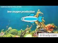 Exploring Rational Expressions: Addition and Subtraction