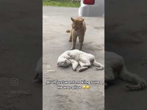 You okay…