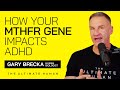 Understanding ADHD, MTHFR Gene, and Dietary Impacts