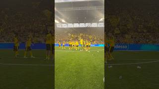 Wir lieben Borussia Dortmund 🎶