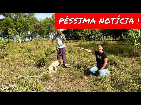 A CASA FICARÁ COM SERIOS PROBLEMAS ?😭VEJA QUE PODE ACONTECER SERVE DE ALERTA🚨VAMOS TER QUE AGIR