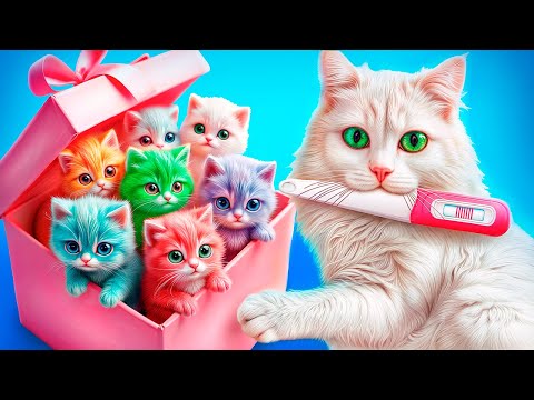 On a Sauvé une Chatte Enceinte! Nous Construisons une Chambre Secrète pour les Chatons!
