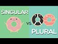 Exploring Plural and Singular Nouns in English