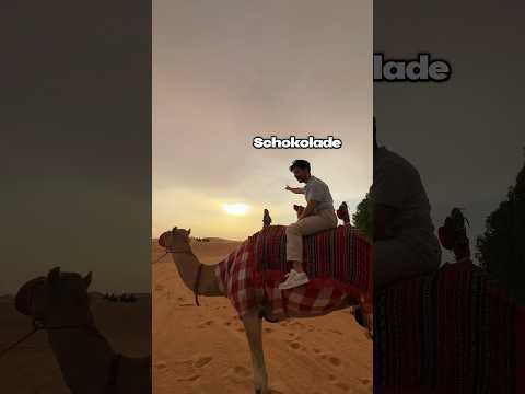 Gray mit Pedrams Karte allein in Dubai 😂🌇💳