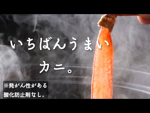 このカニがめっちゃうまい！だけじゃない！神すぎる！年末年始お正月料理 北海道産紅ズワイガニ 蟹 お取り寄せグルメ gourmet 鍋 かにしゃぶ鍋