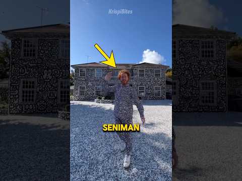 Seniman ini Menghiasi Seluruh Rumahnya dengan Coretan