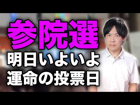 参院選いよいよ明日投票日！NHK党、再生の道、チームみらい等の政治団体の公約を読む