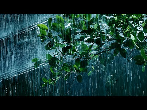 Stop Worrying & Fall Asleep Immediately 😴 Torrential Rain & Huge Thunder | Natural Rain Sleep Sounds