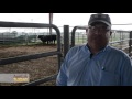Veterinary Science Camp Insights