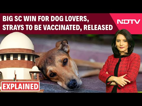 SC On Stray Dogs | Big SC Win For Dog Lovers, Strays To Be Vaccinated, Released