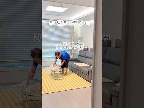 털손주 더우니까 에어컨 파워냉방으로 틀어 #고양이 #고양이브이로그 #고양이일상 #고양이영상 #고양이집사 #집사일상 #집사vlog #랙돌 #ragdoll #랙돌국수