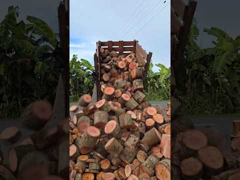 Amazing Wooden Hamam Dasta Making Complete Process #shorts