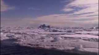 Antarctic Ambiance - YouTube