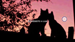 Eu assisto a lua deixo ela controlar meu humor não consigo parar de pensar em você (tradução)