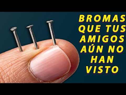 20 Bromas Alucinantes Que Siempre Funcionan