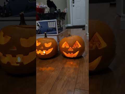 happy Halloween tonght trick or treat 🎃 🤪 😜 😋 ♥️ let's give 190 kids for treat tonight let's go