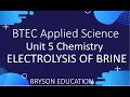 Electrolysis of Brine Concepts