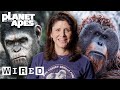 Great Apes: Facts and Features