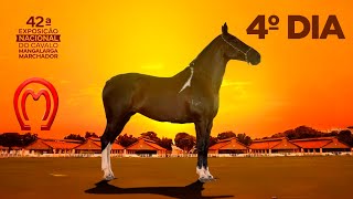 42° EXPOSIÇÃO NACIONAL DO CAVALO MANGALARGA MARCHADOR | 4° DIA Pepê Figueiredo
