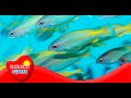 Understanding Bioaccumulation