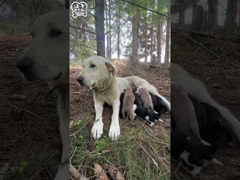 Estavam perdidos, mas o amor os encontrou