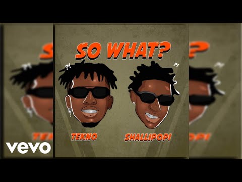 Image: Tekno, Shallipopi - So What? (Official Audio) (U)