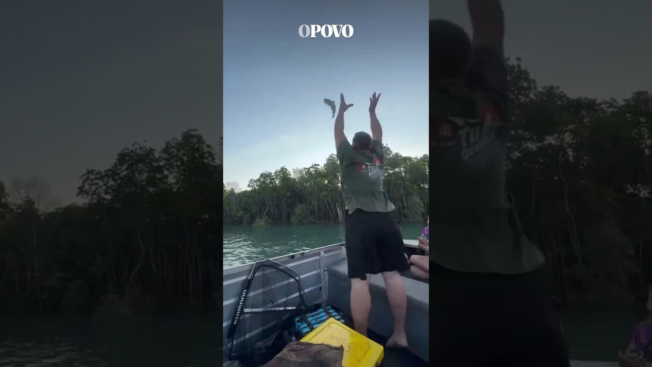 Homem lança peixe para o alto e águia captura ainda no ar shorts viral viralvideo