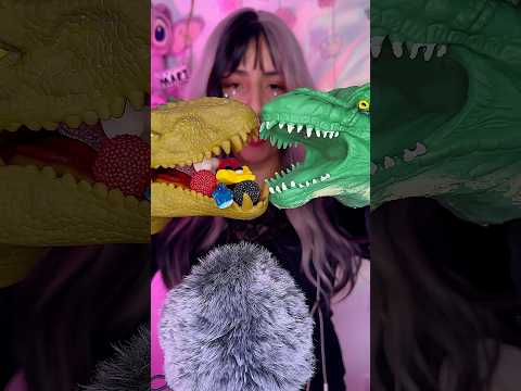 Asmr - Doces na boca do Dino