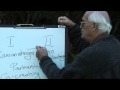 Understanding the Treaty of Waitangi